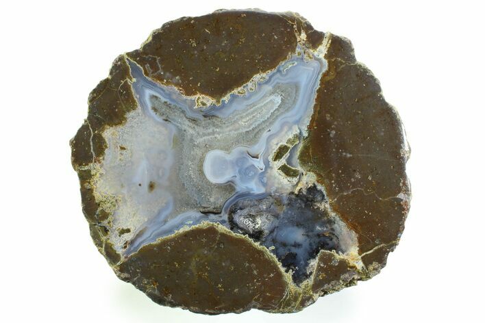 Colorful Polished Thunderegg Half - Nevada #337801